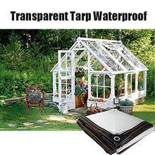 QIAOH Telone Impermeabile Resistente 2x5m, Telo Trasparente Antipioggia in PVC Resistente allo Strappo Copertura per Piante da Giardino per Patio Balcone con Asola,Transparent
