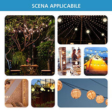 SUVOM Kit Fune in Acciaio Inossidabile da 52 m, Kit per Appendere le Luci, Kit di luci per esterni Kit di Sospensione con Gancio a Sospensione per Luci a Corde per Patio, Padiglione, Coperta, Giardino