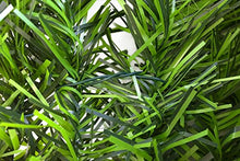 jarolift Canniccio Siepe Artificiale, 1 x 3m