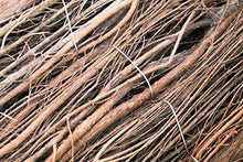 Estera de ramas de brezo Joe, Marrón, 300cmx200cm - Alfomra de ramas/Elemento Original - monsterkatz