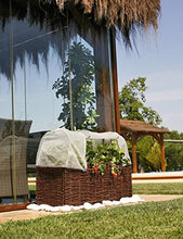 Catral Germania Città Giardino, Insetti Custodia Kit Planter, Trasparente, 104 x 44 x 39 cm, 71080010